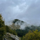 hey-hey-hey-hey-hey-hey avatar