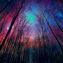 hey-its-the-new avatar