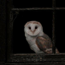 hey-must-be-a-devilbetween-us avatar