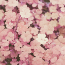 heyimmoon-blog1 avatar