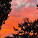 heyitsdanii19 avatar