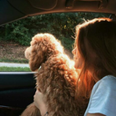 heyitsmarlice avatar