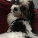 heyitsmeg2016 avatar