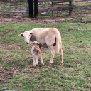 heyitsmeyabitch2004 avatar