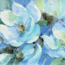 heylookomegas avatar