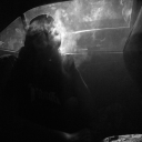 heylookwhoitis avatar