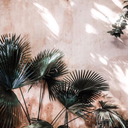 heytherefriendship-blog avatar