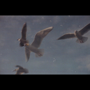 hhdahhkj-blog avatar