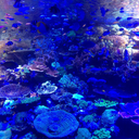 hhhhhhhiiiiiiiddddddd avatar