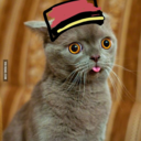 hhnusher-memes avatar