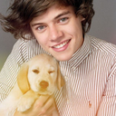 hi-harry-styles-blog avatar