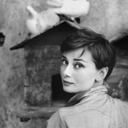 hi-my-name-is-virna avatar