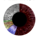 hi-thisiswhoireallyam avatar