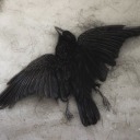 hibernaculish avatar