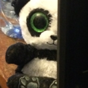 hibernatingpanda avatar