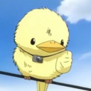 hibirdfurball avatar