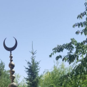 hicranyolcusu avatar