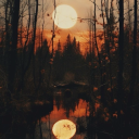 hidden-in-the-grotto avatar