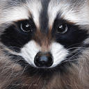 hidden-machine avatar