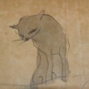 hiddencreature666 avatar