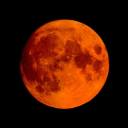 hiddeninthewoodsalone avatar