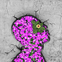 hiddenntontan avatar