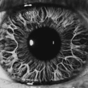 hiddenstorysblog avatar