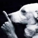 hiddenstringscheese avatar