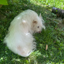 hiddenvalleygranch avatar