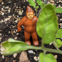 hiddenvalleyrantula avatar