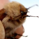 hiddenworldseverywhere avatar