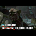 hiddles-cougars avatar