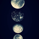 hiddlesforgiggles avatar