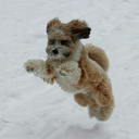 hide-your-rum avatar