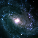 hideandsqueek avatar