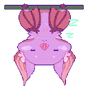 hiding-from-my-sib avatar