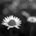 hidingbehindasmile24-7-blog avatar