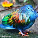 hidinginabroomcupboard avatar