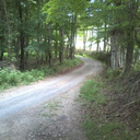 hidnplainsight avatar