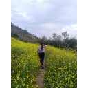 hierbas-para-mi-jardin avatar