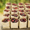 hifuzumuged-blog avatar