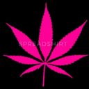 high-af-dude avatar