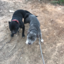 high-life212-blog avatar