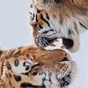 highandhidden-blog avatar