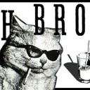 highbrow-hepcat avatar