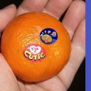 higher-than-a-kite avatar