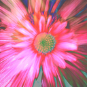 higher-views-42 avatar