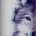 highh-society avatar