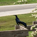 highkey--trash avatar