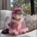 highkeyhoreknee avatar